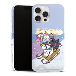 Premium Card Case matt