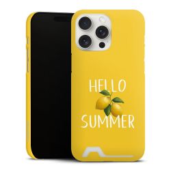 Premium Card Case matt