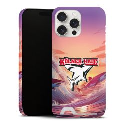 Premium Card Case matt