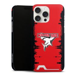 Premium Card Case matt