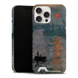 Premium Card Case matt