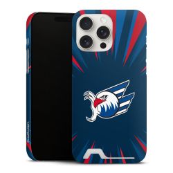 Premium Card Case matt