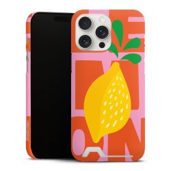 Premium Card Case matt