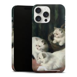 Premium Card Case matt