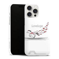 Premium Card Case matt