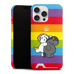 Premium Card Case matt