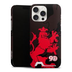 Premium Card Case matt