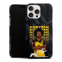 Premium Card Case matt