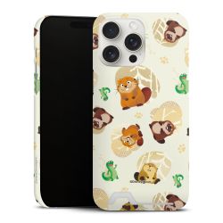 Premium Card Case matt