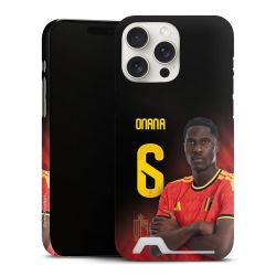 Premium Card Case matt