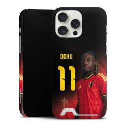 Premium Card Case matt