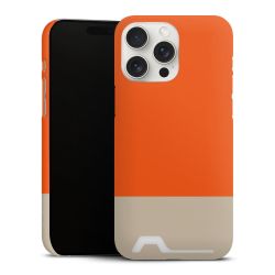 Premium Card Case matt