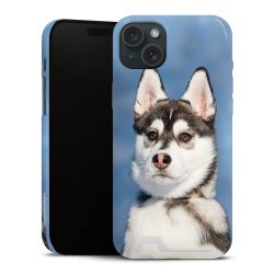 Premium Card Case glossy