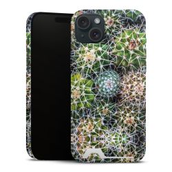 Premium Card Case glossy