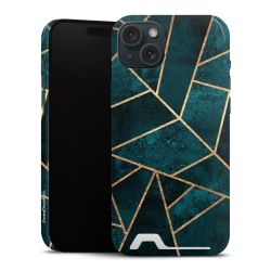 Premium Card Case glossy