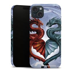 Premium Card Case glossy