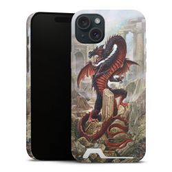 Premium Card Case matt