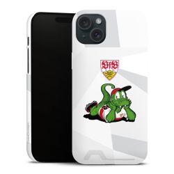 Premium Card Case matt