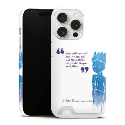 Premium Card Case matt