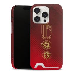 Premium Card Case matt