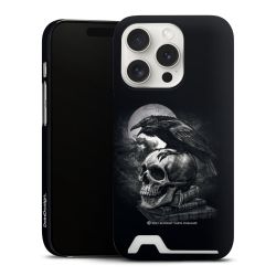 Poe's Raven
