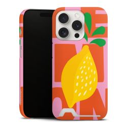 Premium Card Case matt