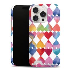 Premium Card Case matt