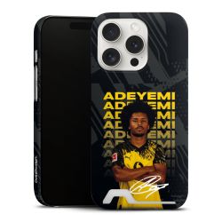 Premium Card Case matt