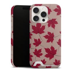 Premium Card Case matt