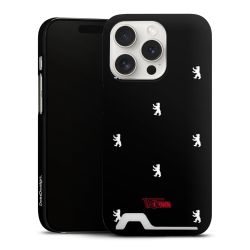 Premium Card Case matt