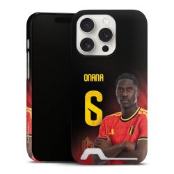 Premium Card Case matt