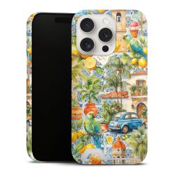 Premium Card Case matt