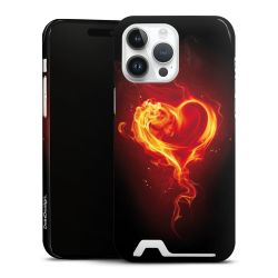 Premium Card Case glossy