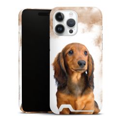 Premium Card Case glossy