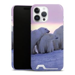 Premium Card Case glossy