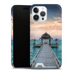 Premium Card Case glossy