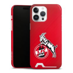 Premium Card Case glossy