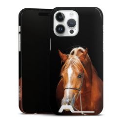 Premium Card Case glossy