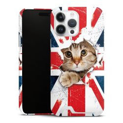 Premium Card Case glossy