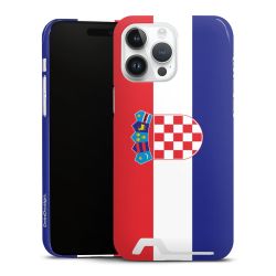 Premium Card Case glossy