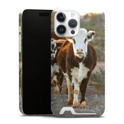 Premium Card Case glossy