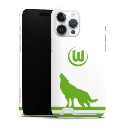 Premium Card Case glossy