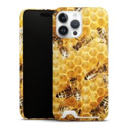 Premium Card Case glossy