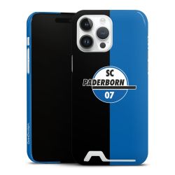Premium Card Case glossy