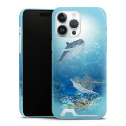 Premium Card Case glossy