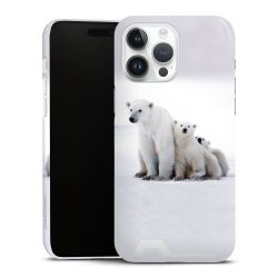 Premium Card Case glossy