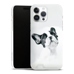 Premium Card Case glossy