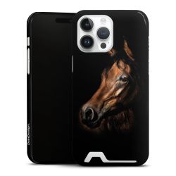 Premium Card Case glossy