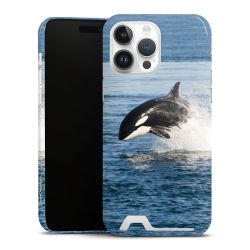 Premium Card Case glossy