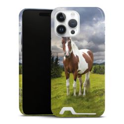 Premium Card Case glossy